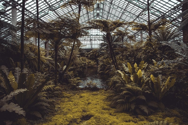 Mini Greenhouse
